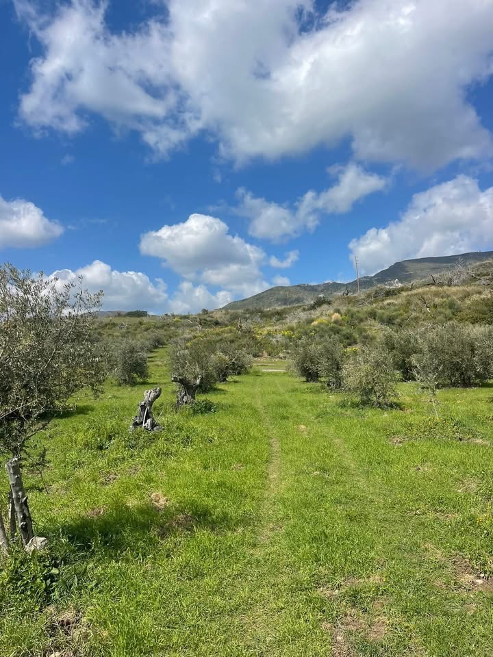 מגרש לבנייה בסביבה טבעית ושקטה 40 אלף יורו בלבד צפון האי אוויה